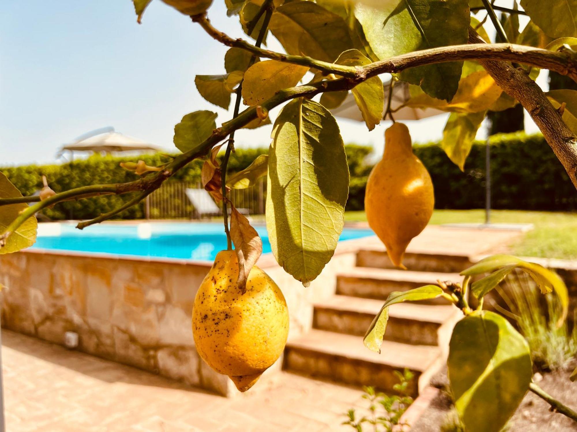 Libertas Tuscan Hideaway San Sano Екстериор снимка