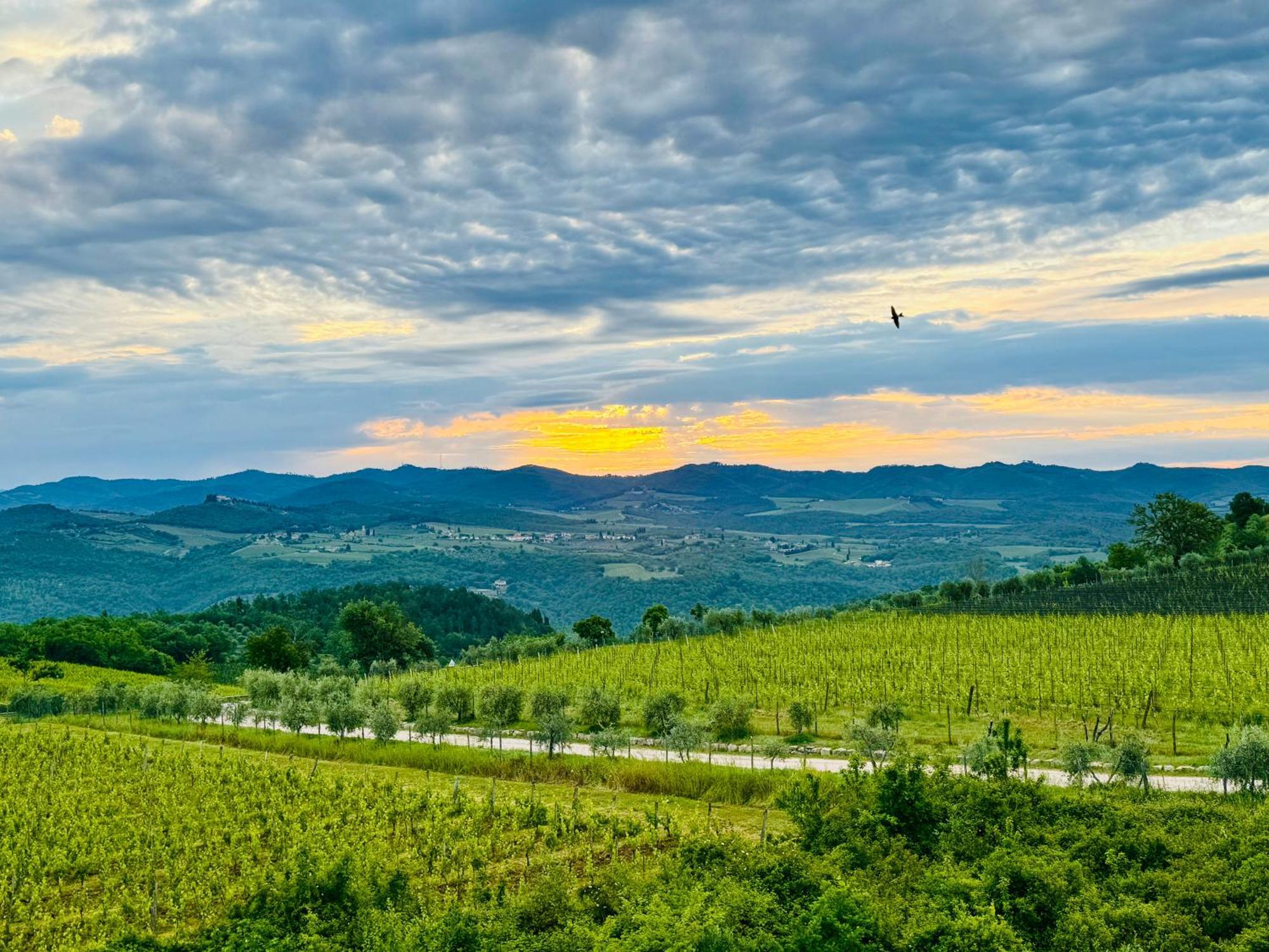 Libertas Tuscan Hideaway San Sano Екстериор снимка